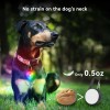 Luces de perro con 4 modos para caminar por la noche, luz impermeable IP68 para collar de perro con clip nocturno, luz