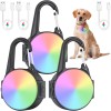 Luces de perro con 4 modos para caminar por la noche, luz impermeable IP68 para collar de perro con clip nocturno, luz