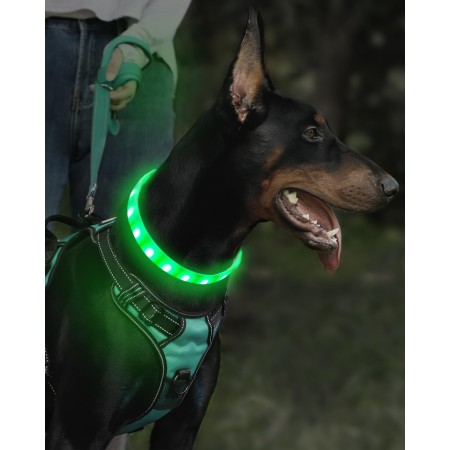 Joytale Collares de perro iluminados, collar de perro LED cortable a prueba de lluvia, 9 modos de parpadeo, collar de silicona